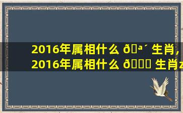 2016年属相什么 🪴 生肖,2016年属相什么 🐅 生肖zui
好